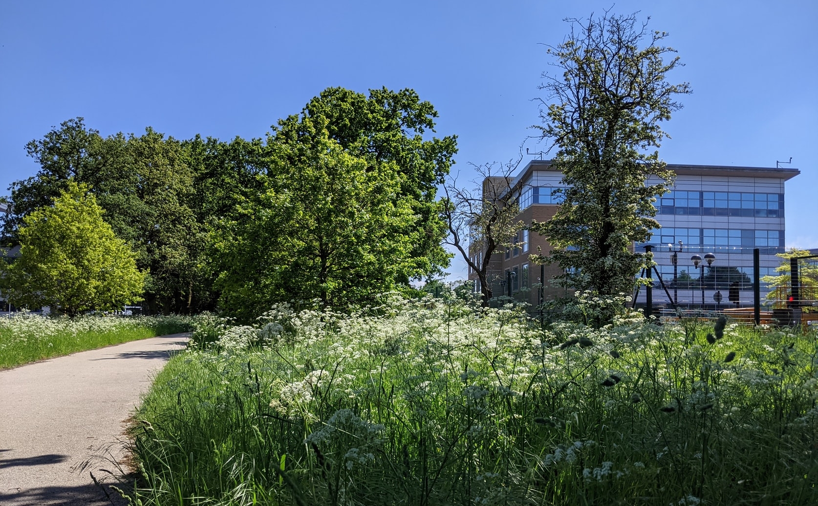 Natuurinclusiviteit op Building Holland