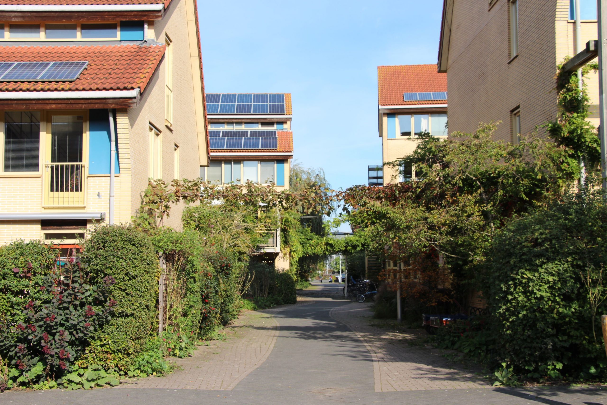 KAN Themagroep bijeenkomst Bewoners verleiden tot natuurinclusieve tuinen